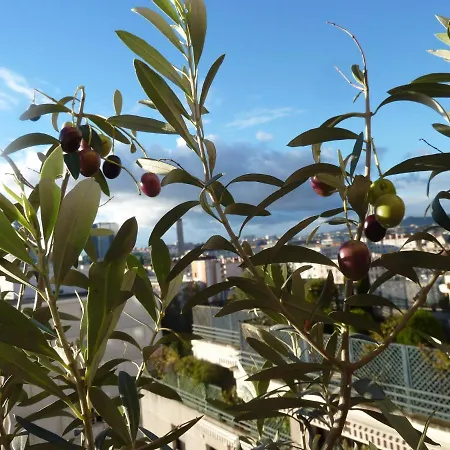 Jolie A Louer - Vue Imprenable 招待所 3*